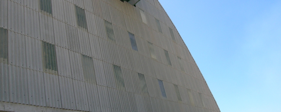 DSCN0317